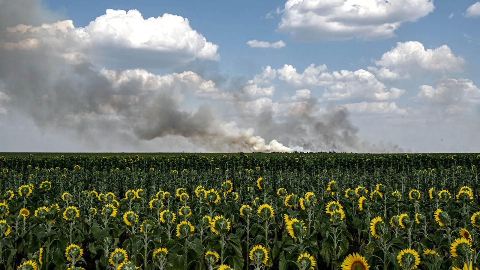 Дивимося 5 фото з України, які журнал Time додав у топ-100 світлин 2025 року