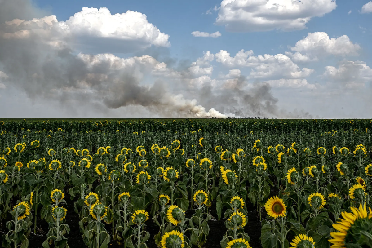 Дим від російського обстрілу піднімається над полем соняшників у Запорізькій області, Україна, 8 липня. Укрінформ/NurPhoto/Getty Images