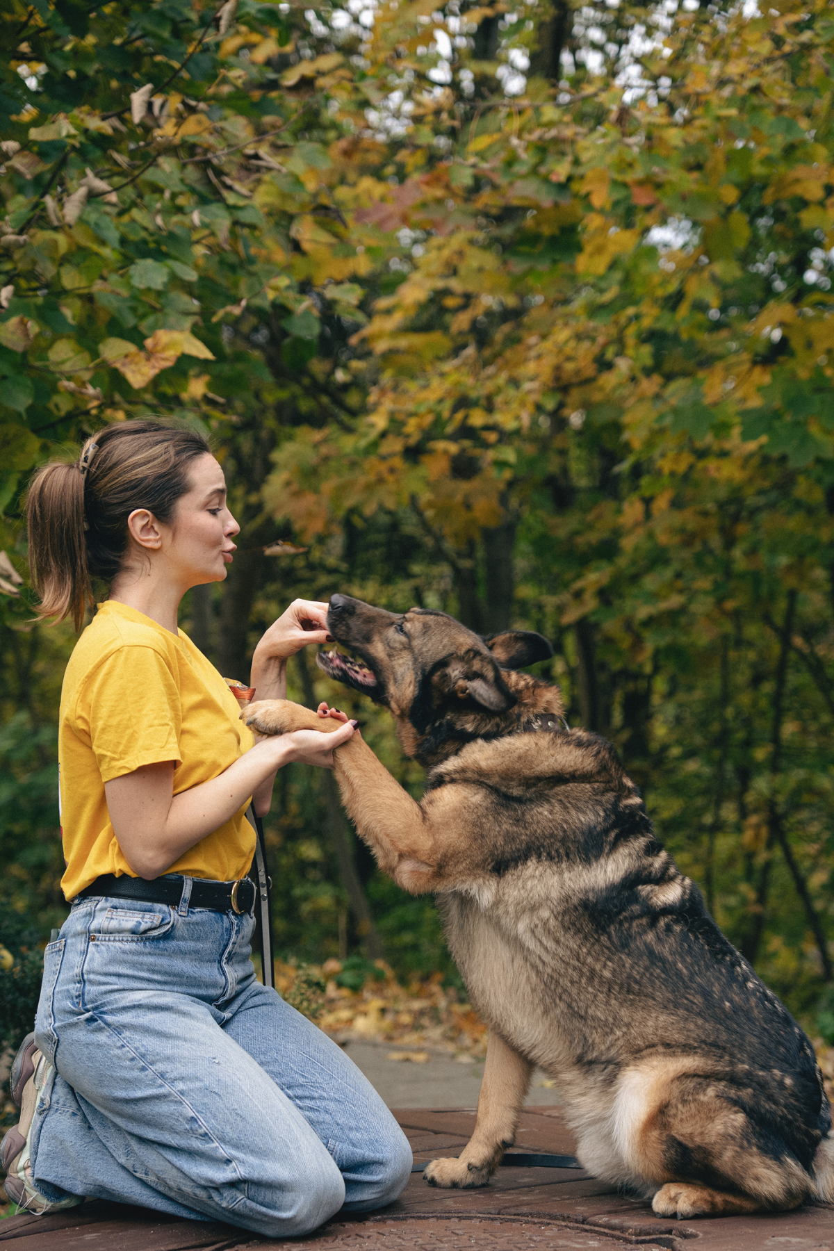 KRKR та «Домівка врятованих тварин»