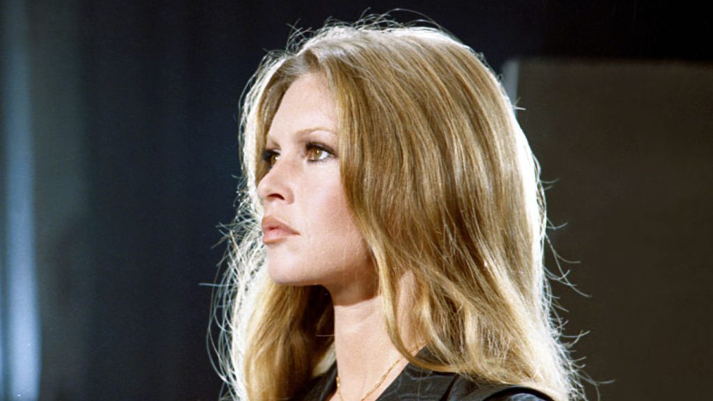 5-nayyaskravishih-roley-zirki-francuzkogo-kino-brizhit-bardo-8d6ac755