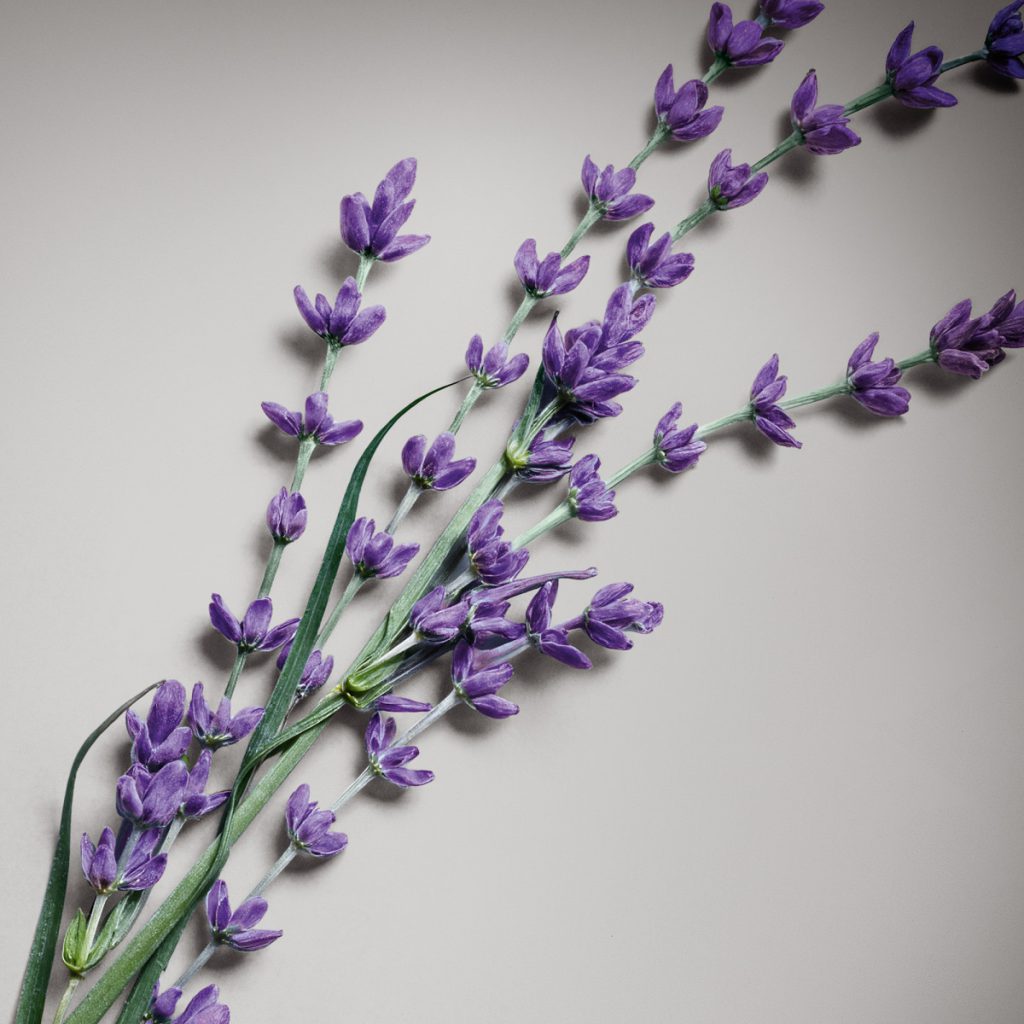 аромати 2025 рік