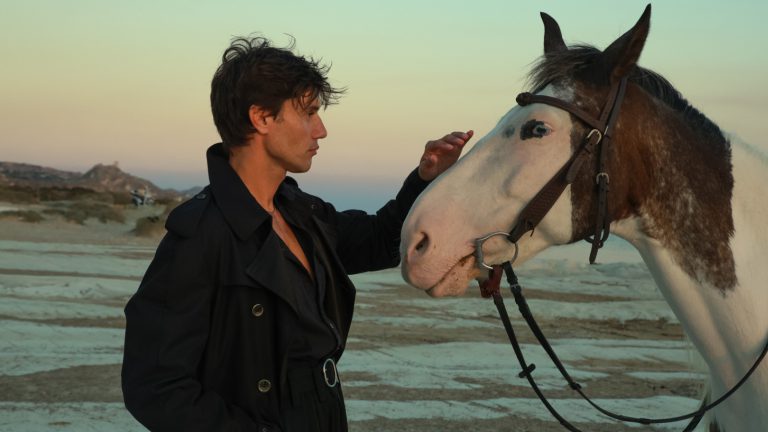 ridkisna-mozhlivist-2026-rokudlya-kozhnogo-znaku-zodiaku-povniy-rozklad-vid-tarologini-b7629074