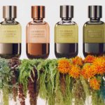 tiha-rozkish-u-parfumerii-6-novih-aromativ-na-2026-rik-457148db