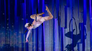 f40f8d2ca484a4946b10322d83f6643e