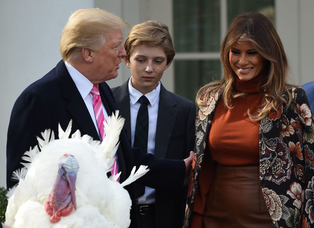 Жена Трампа Мелания Трамп: биография, личная жизнь и карьера