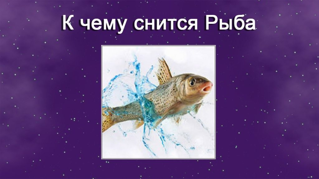 К Чему Снится Рыба: символика и значение сна в разных культурах