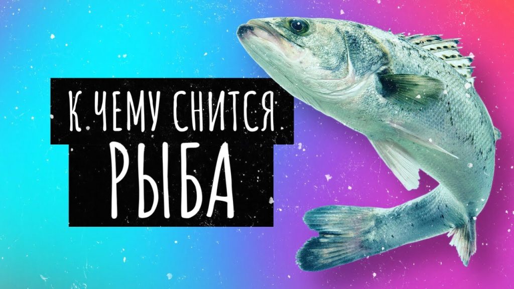 К Чему Снится Рыба: символика и значение сна в разных культурах