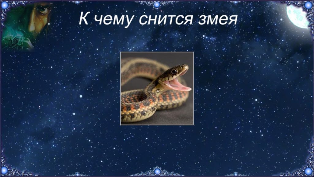 К Чему Снится Змея: толкования, символика и культурное значение