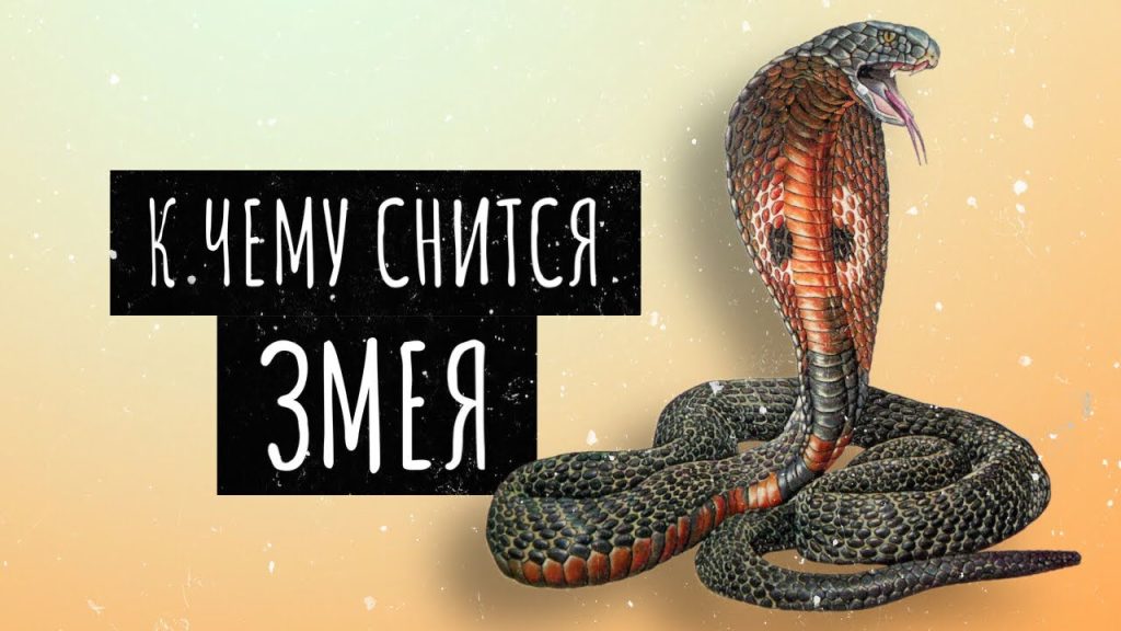 К Чему Снится Змея: толкования, символика и культурное значение