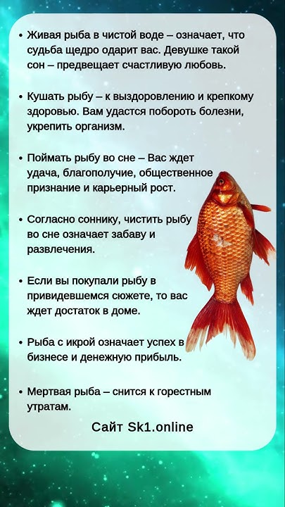 К Чему Снится Рыба: символика и значение сна в разных культурах
