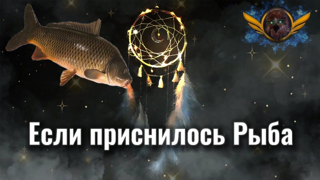К Чему Снится Рыба: символика и значение сна в разных культурах