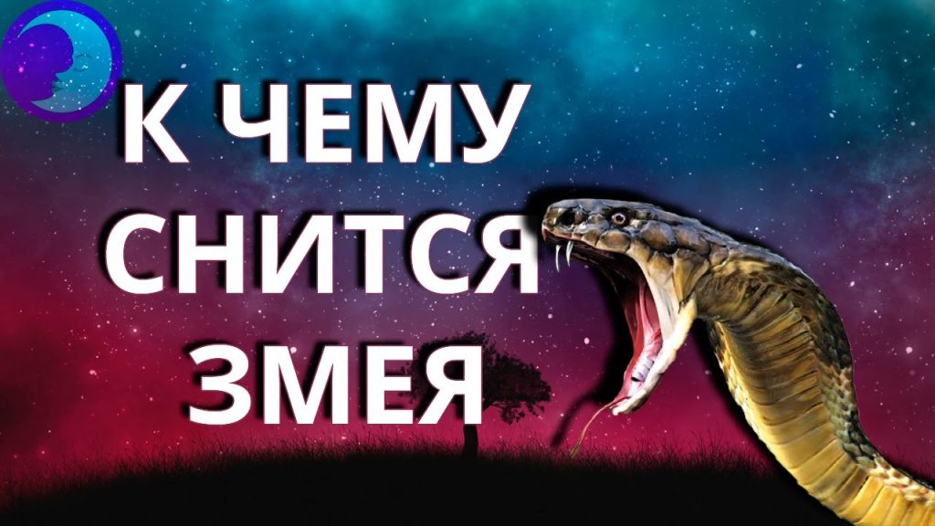 К Чему Снится Змея: толкования, символика и культурное значение