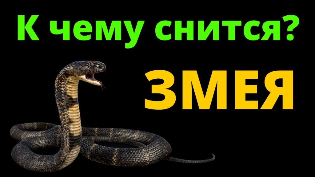 К Чему Снится Змея: толкования, символика и культурное значение