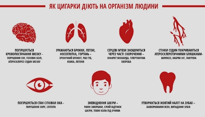 Порошенко Розлучення: подробиці особистого життя і його вплив на політику
