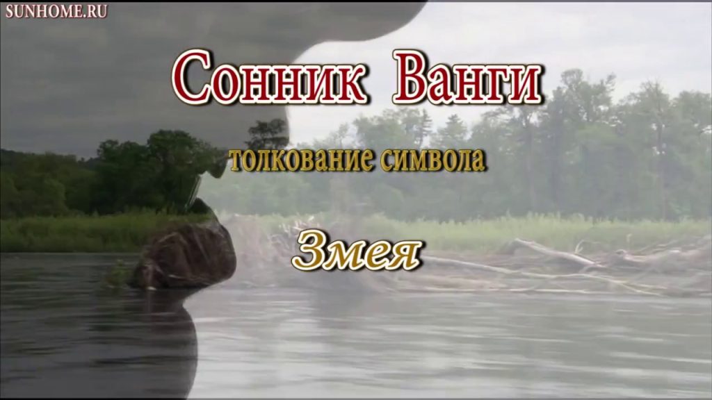 К Чему Снится Змея: толкования, символика и культурное значение