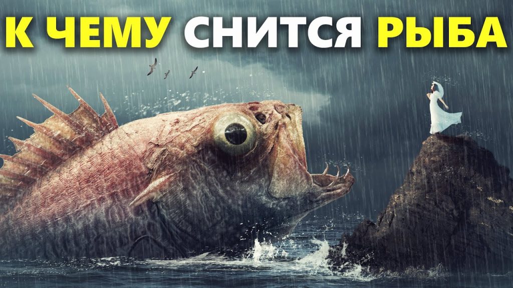 К Чему Снится Рыба: символика и значение сна в разных культурах