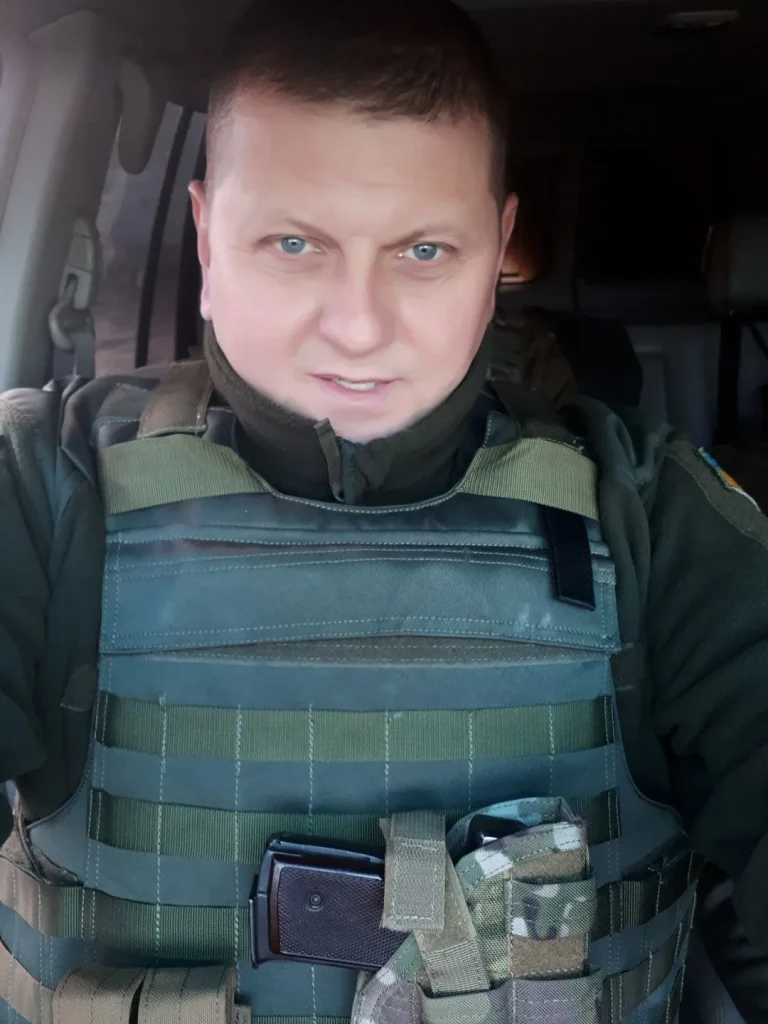 Залужний Біографія: Життя, Кар'єра та Особистість