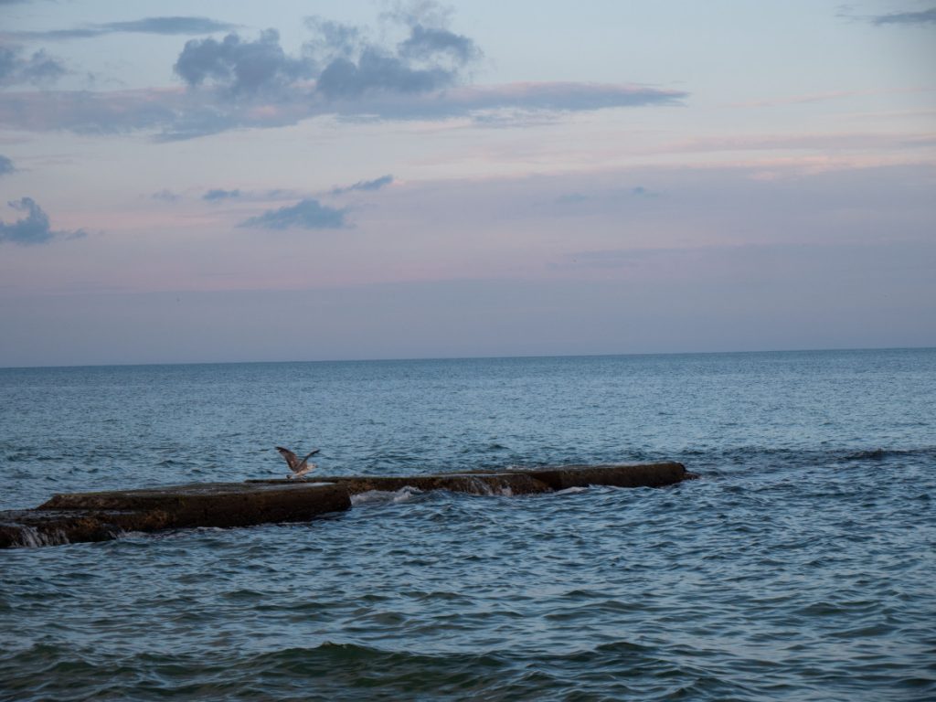 море
